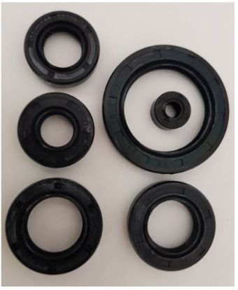 Picture of Oil Seal Kit Bike CG CB 125cc 150cc